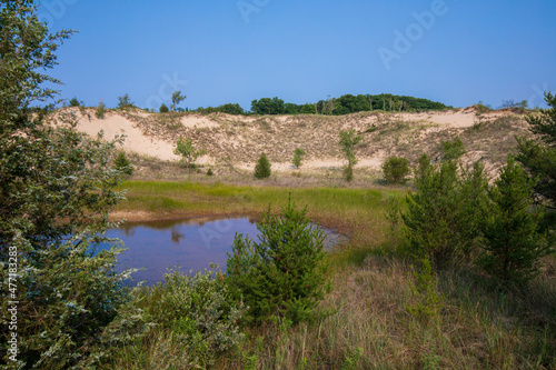 West Beach Dune Succession Trail, Indiana Dunes National Park lake shore in Summer.