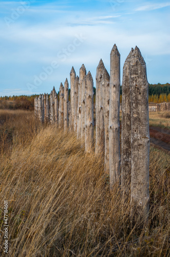 a stockade of logs in the field in autumn