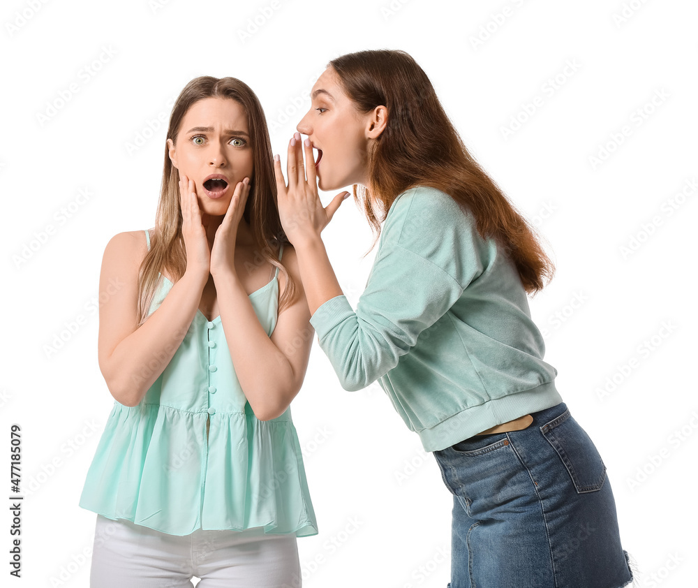 Young gossiping women on white background Young gossiping women on white background