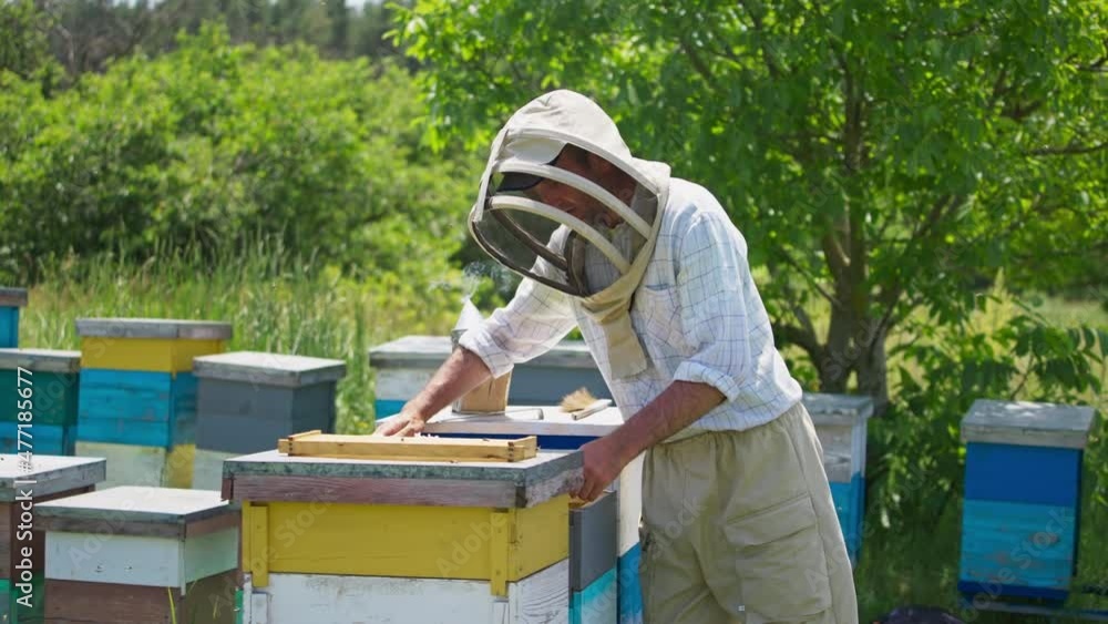 Beekeeper takes honey frames out of hive with bare hands. Man in protective clothes inspects the hives on a bee farm. Beekeeper takes honey frames out of hive with bare hands. Man in protective clothes inspects the hives on a bee farm.