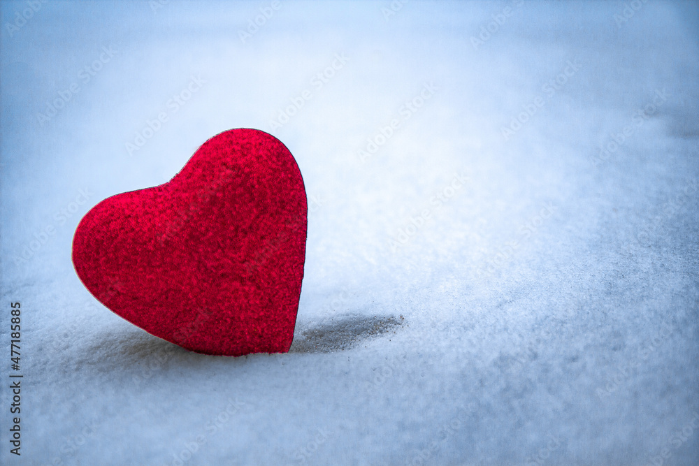 lonely heart of red in the blue snow lonely heart of red in the blue snow
