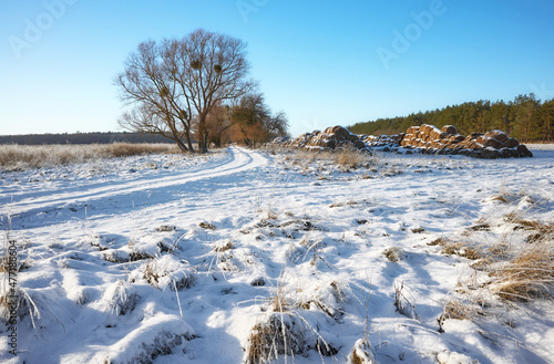 Beautiful winter rural landscape on a sunny day.