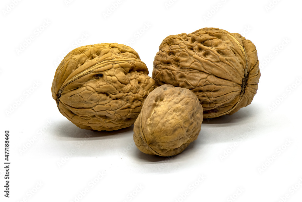 Three walnuts on a white background Three walnuts on a white background