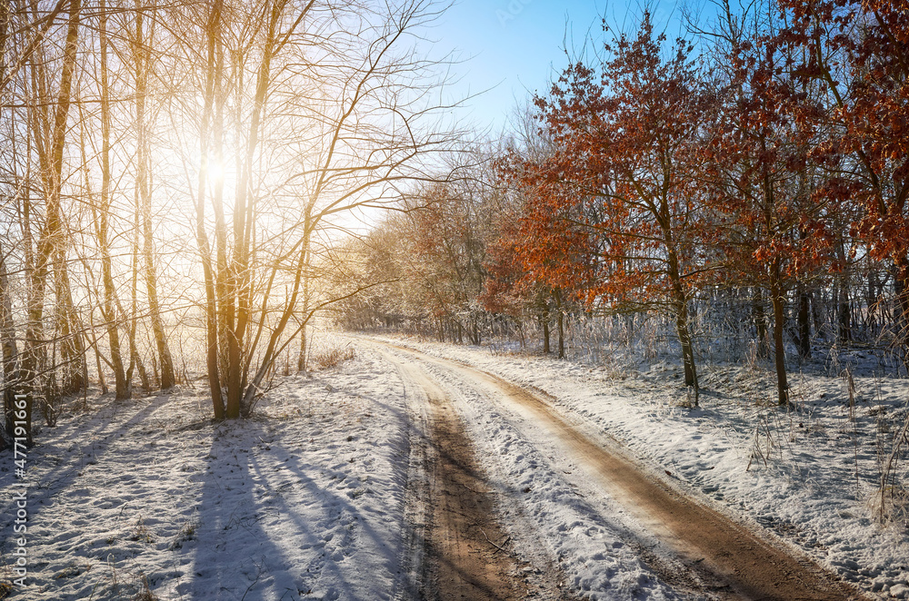 Beautiful winter landscape with country road against the sun. Beautiful winter landscape with country road against the sun.