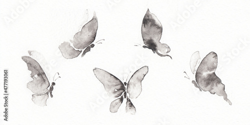 Set with five differents forms butterfly pictures.  Hand drawn china ink on paper textures