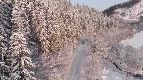 Winter in the mountains. Forest in the snow. Shooting from a quadcopter.