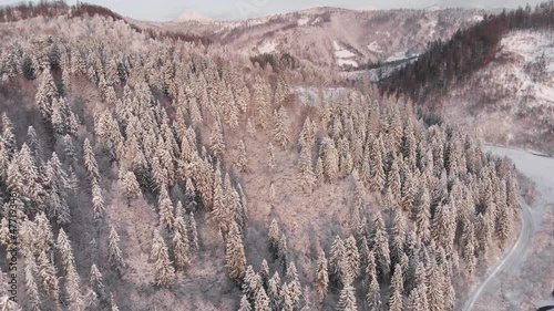 Winter in the mountains. Forest in the snow. Shooting from a quadcopter.