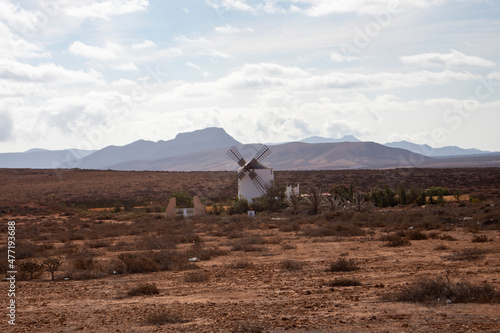 Fuerteventura - spain