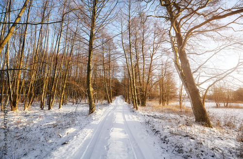 Beautiful winter landscape with country road. © MaciejBledowski