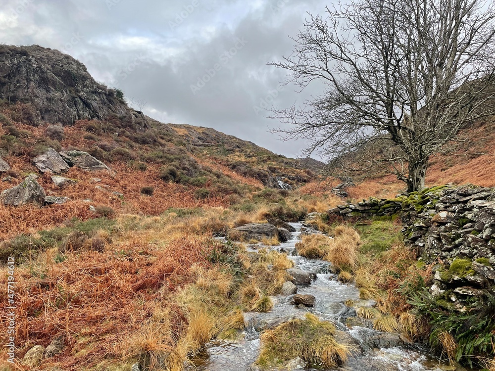 Autumn In The Mountains Of Snowdonia, North Wales