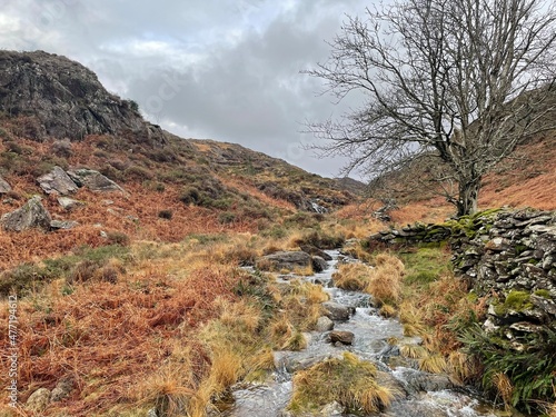 Autumn In The Mountains Of Snowdonia, North Wales