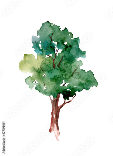 Watercolor illustration. Green summer tree hand-drawn. Landscape, nature, garden, architectural element isolated on white background; ecologicaly clean. photo