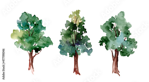 Watercolor illustration set. Green summer tree hand-drawn. Landscape, nature, garden, architectural element isolated on white background; ecologicaly clean. Poplar, ash, oak photo