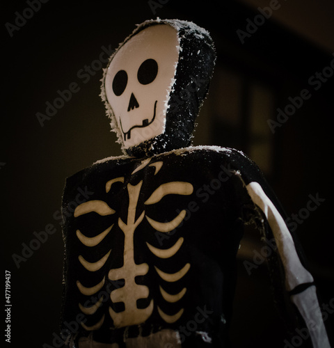 Halloween Skelton photo