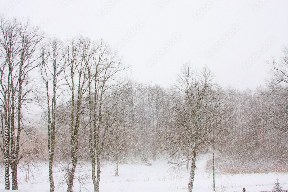 Schneebedeckte Winterlandschaft Schneebedeckte Winterlandschaft