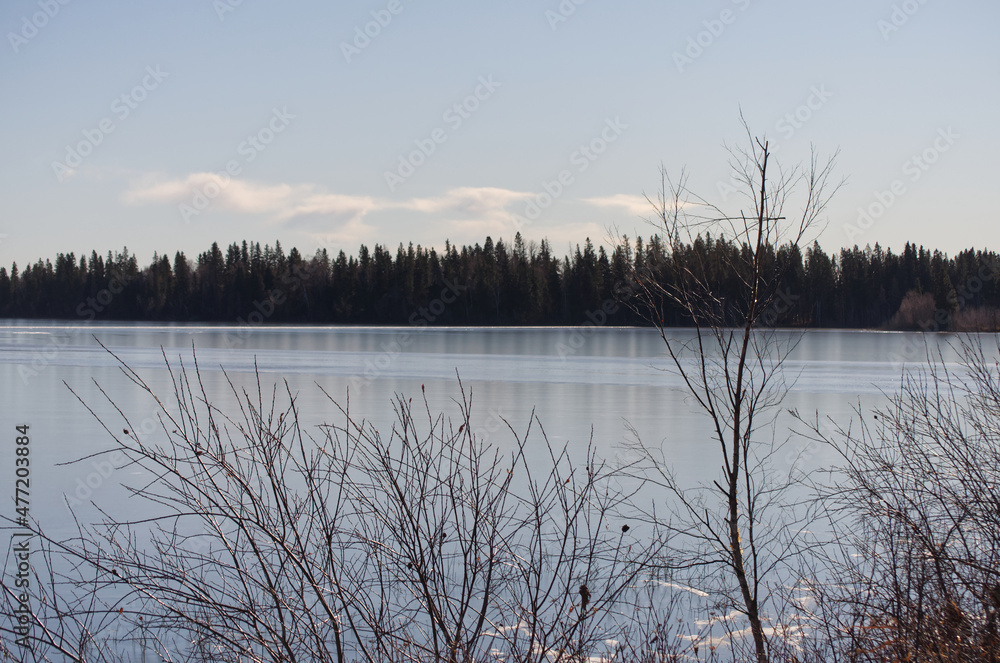 Fototapeta premium Astotin Lake Frozen over in Late November