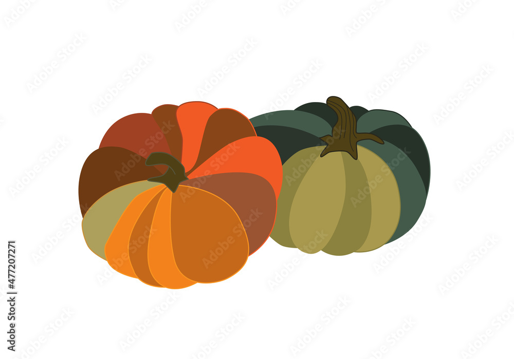 Two bright ripe pumpkins. Fresh harvest from the farm. Vector colorful illustration isolated on a white background. A pair of autumn pumpkins for Halloween. Two bright ripe pumpkins. Fresh harvest from the farm. Vector colorful illustration isolated on a white background. A pair of autumn pumpkins for Halloween.