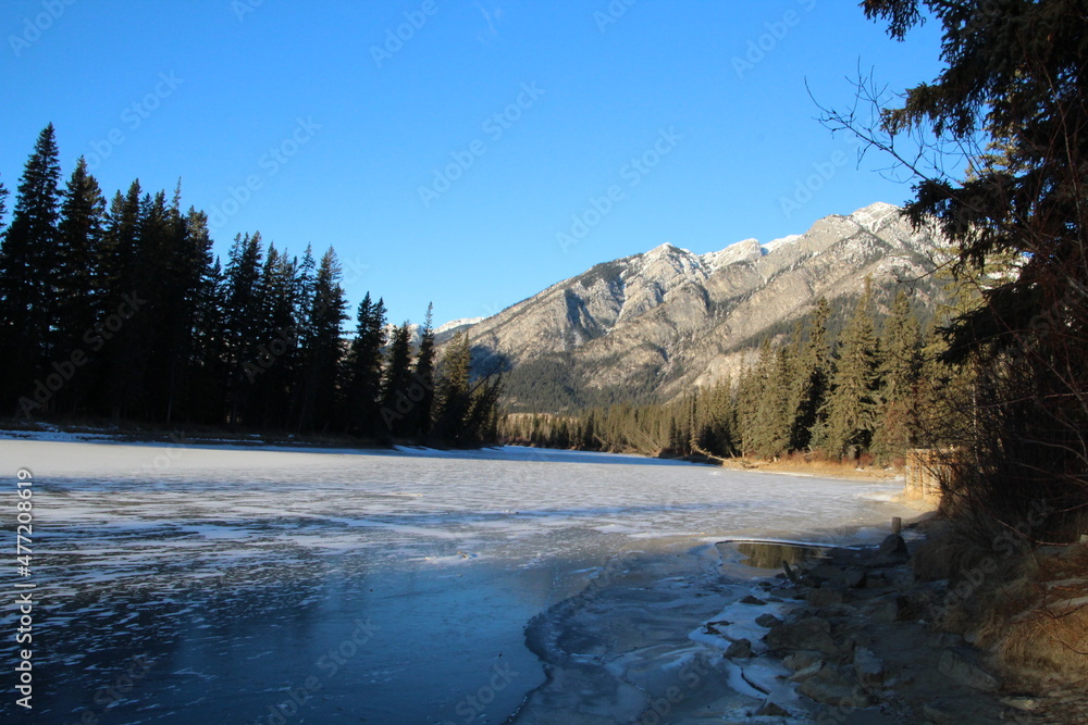 landscape with snow, Banff National Park, Alberta