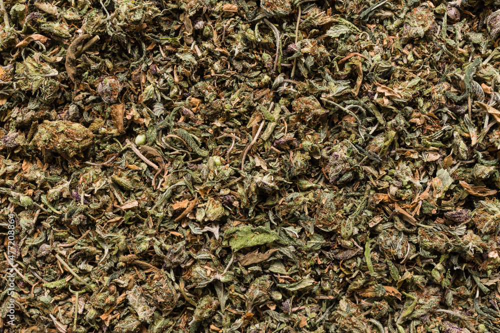 close up texture of dried and crumbled cannabis, hemp plant
