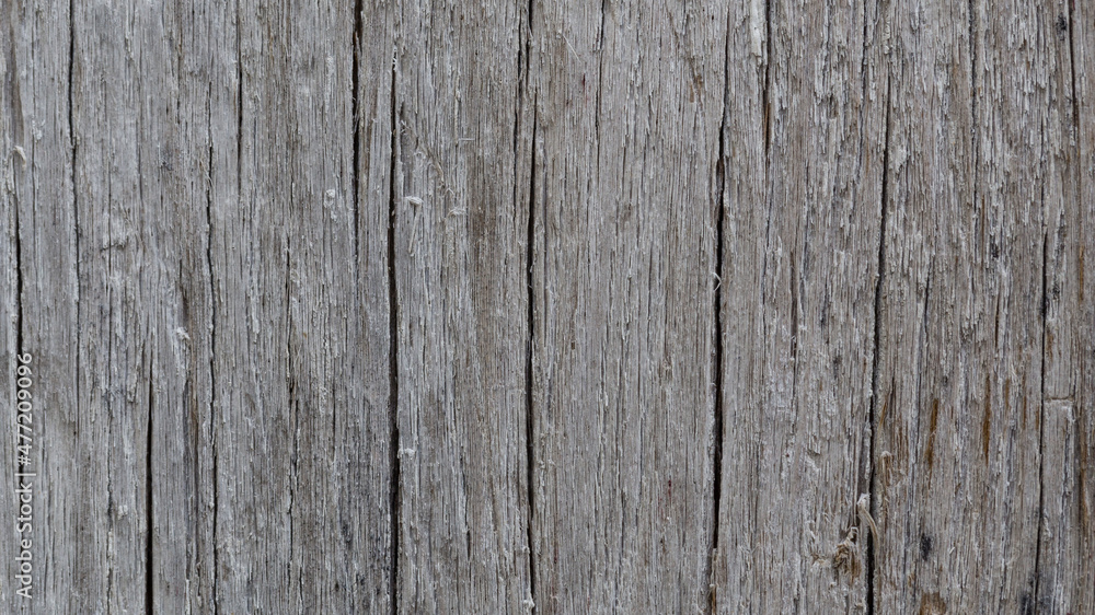 background, texture, pattern of wood grain