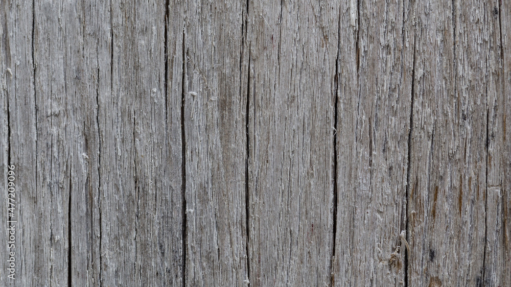 background, texture, pattern of wood grain background, texture, pattern of wood grain