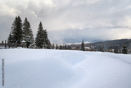 Winter remote alpine mountain village outskirts, countryside hills, groves and farmlands © wildman