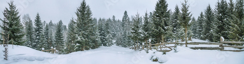 Rural winter landscape, panorama, banner - view of the snowy pine forest with a wooden fence in the mountains