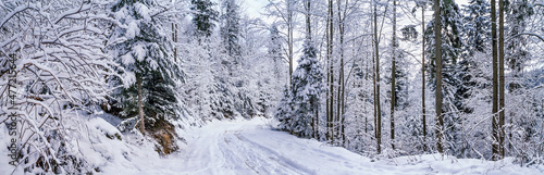 Winter landscape, panorama, banner - view of the snowy road in the winter mountain forest after snowfall © rustamank