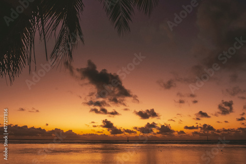 French Polynesia islands in the South Pacific Ocean Mo orea  Tahiti  and Fakarava