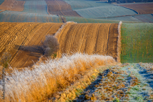 cultivated agricultural fields in autumn sunset. Colorful countryside patchwork photo