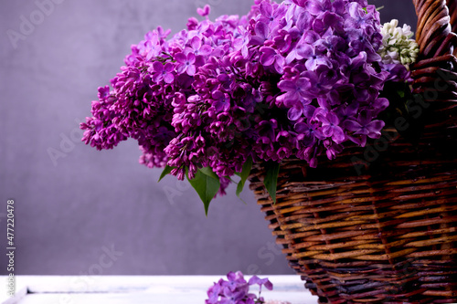 Bouquet of beautiful purple lilac flowers close-up. Spring festive background.