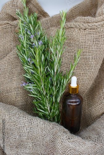 plant and bottle of Salvia rosmarinus oil from organically grown for alternative medicine with background in natural fabric and natural hemp cosmetics