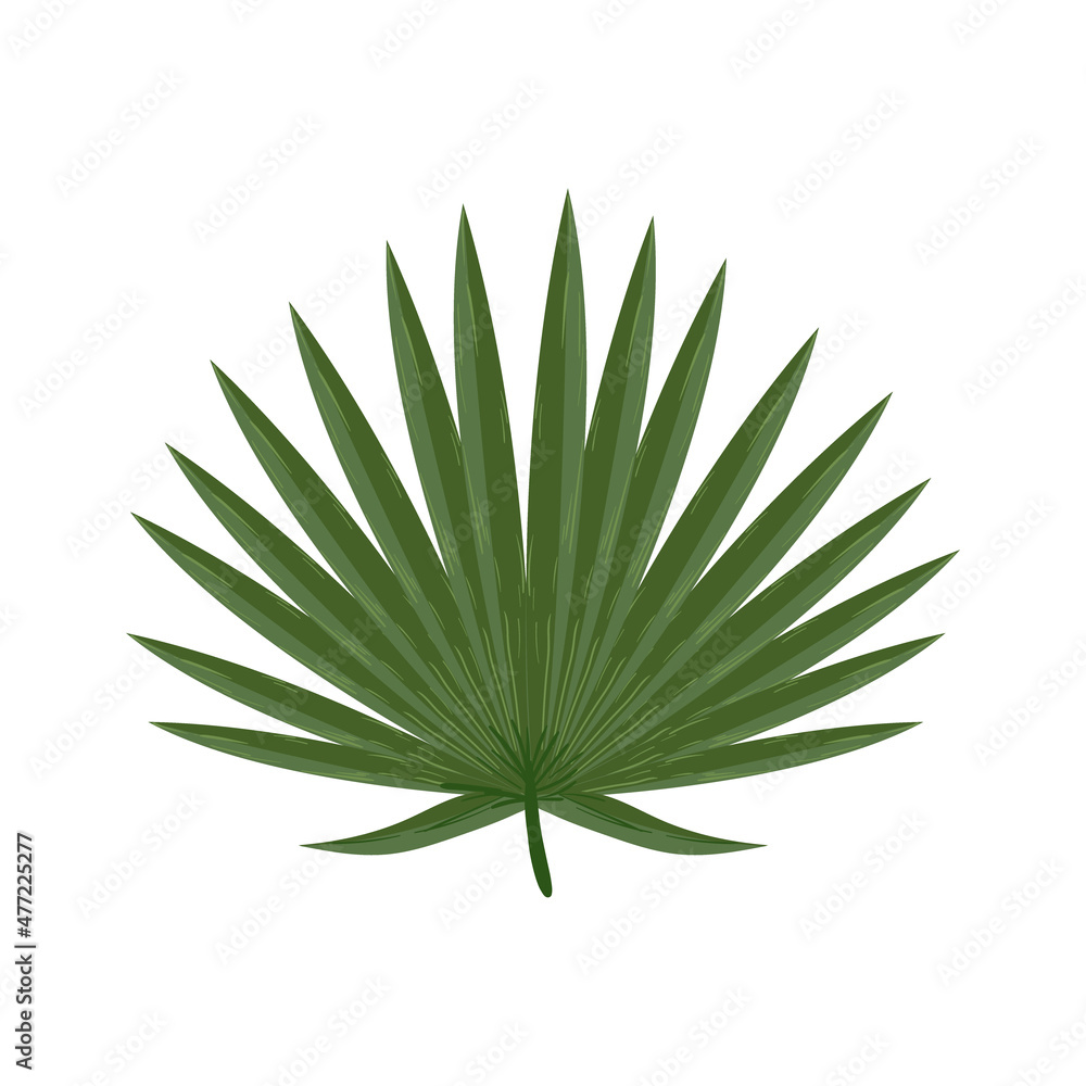 nice plant branch nice plant branch