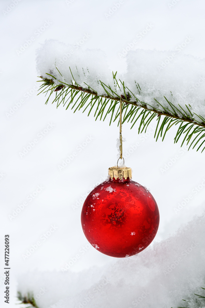 Red glass Christmas ornament on a fir tree outside, covered in fresh snow
Red glass Christmas ornament on a fir tree outside, covered in fresh snow