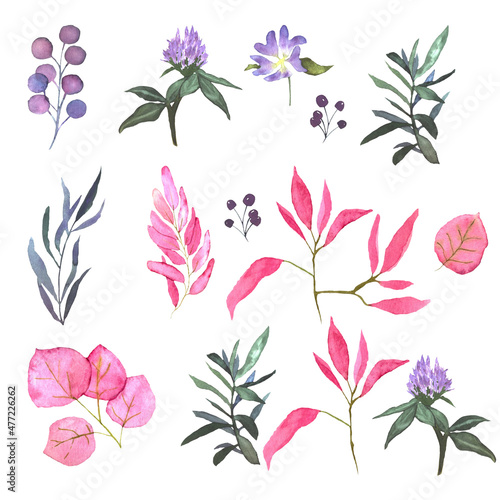 The set of watercolor spring flowers.