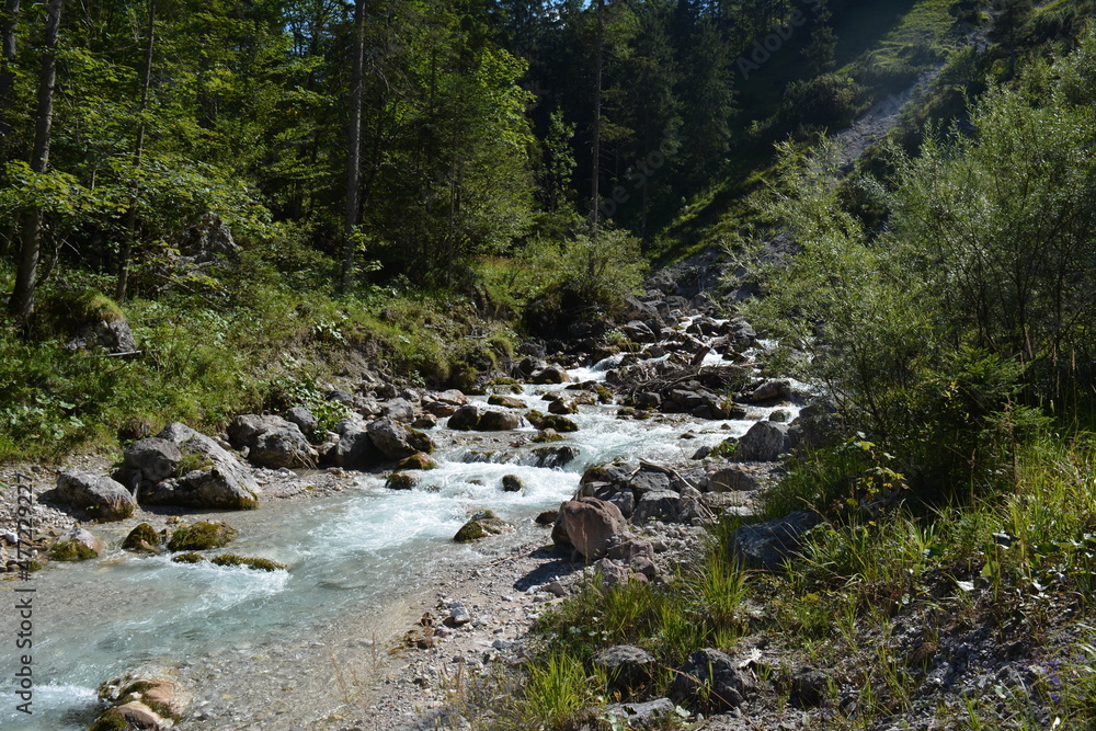 Mountain river flowing in the forest Mountain river flowing in the forest