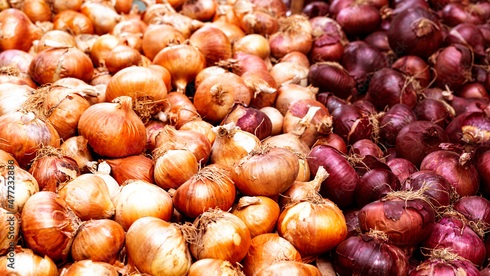 Fresh yellow and purple onions as a food background in the food market.