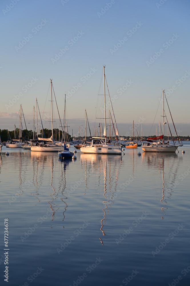 Fototapeta Moored sailboats off Coconut Grove in predawn light on December 27, 2021.
