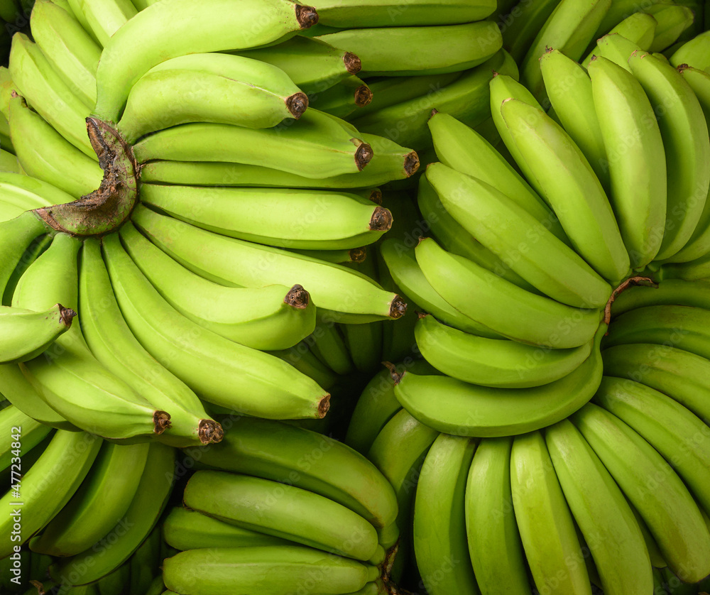 fresh unripe banana, harvested tropical fruit green background, closeup