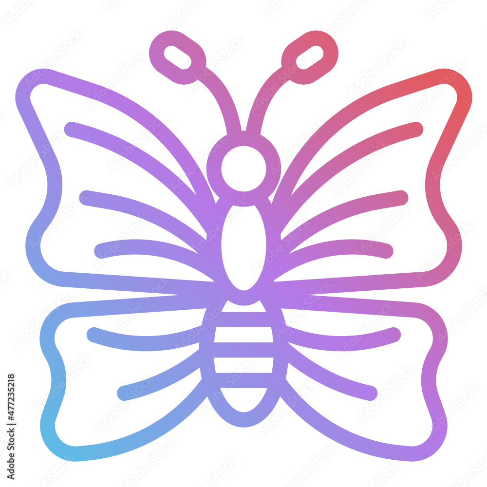 butterfly butterfly