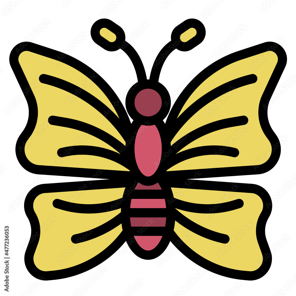butterfly butterfly