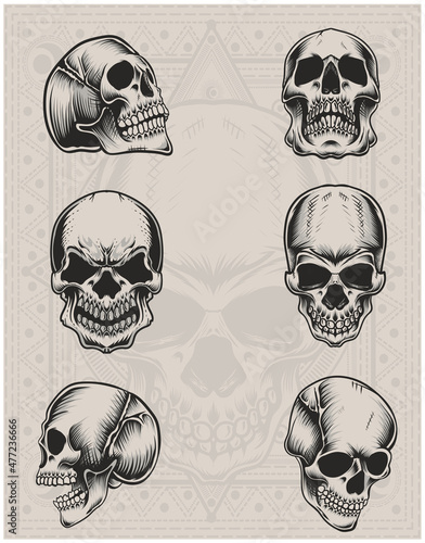 set illustration six skull head