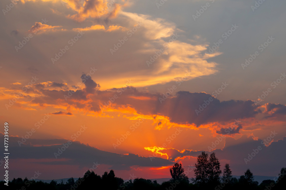 Fototapeta premium Beautiful sunset. Red-orange clouds in bright sunbeams. Evening landscape.