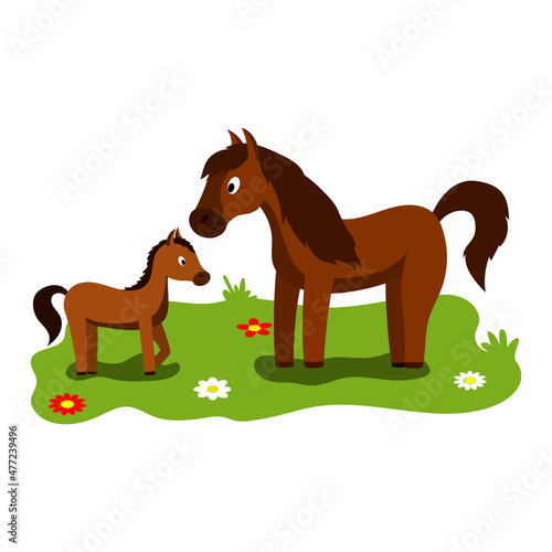 Cute cartoon illustration of mom and kids  farm animal horse and foal. Vector isolated on a white background.