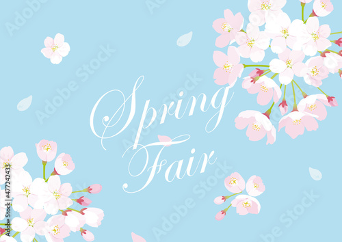 桜　スプリングフェアイメージイラスト