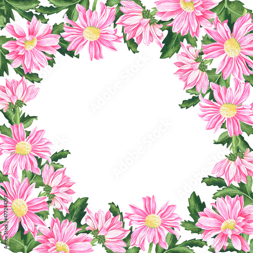 Chrysanthemum frame. Watercolor vintage illustration. Isolated on a white background.For your design