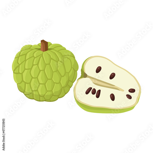 Flat vector of Custard sugar apple or Srikaya, Annona squamose isolated on white background. Flat illustration graphic icon photo