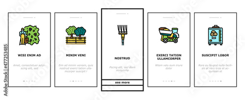 Olive Production And Harvesting Onboarding Mobile App Page Screen Vector. Olive Tree Cultivation And Berries Manual Harvest, Factory Shaker Table And Repository Industry Machine Illustrations