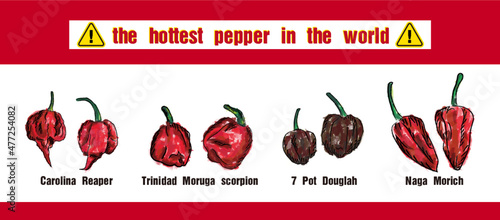 the hottest pepper in the world