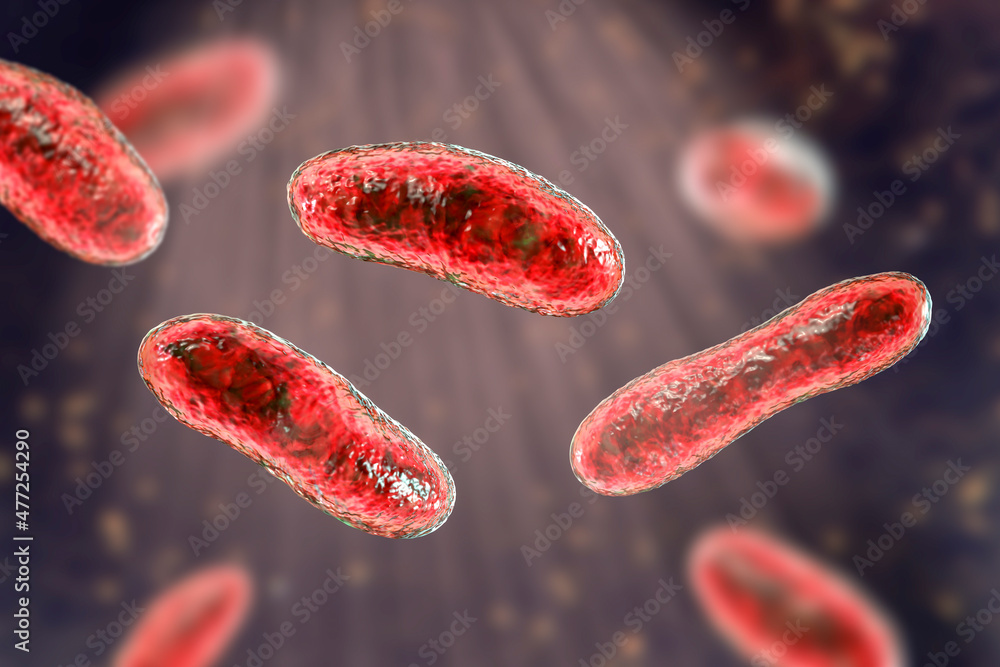 Bacteria Coxiella burnetii, 3D illustration Bacteria Coxiella burnetii, 3D illustration